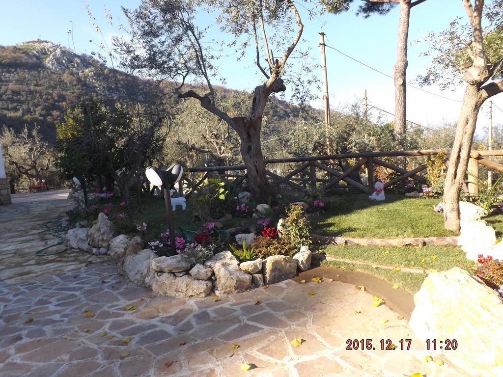 Appartamento Villa Degli Ulivi Sant'Agnello Luaran gambar